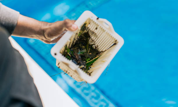 Best Estate Cleanout Services  in Normandy Park, WA